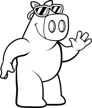 Cartoon Pig Sunglasses