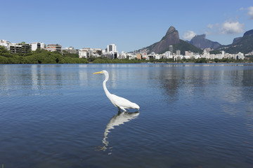 Rodrigo de Freitas Lagoon in Rio de Janeiro Brazil.