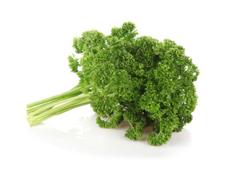 parsley isolated on a white background