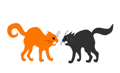 two quarreling cats on white background