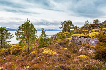 The Senja Island in Norway