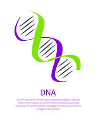 DNA Icon of Genetic Code, Deoxyribonucleic Acid