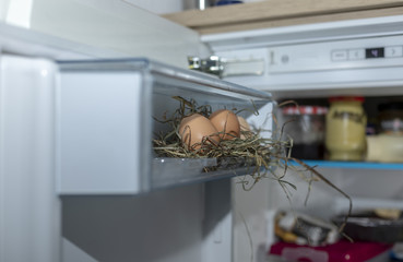 Frische eier im Stroh 