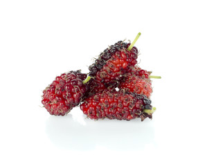 Mulberry isolated on white background