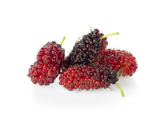 Mulberry isolated on white background