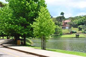 Obraz premium sao francisco de paula - rs 