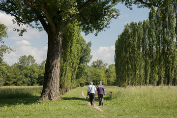 two men walking at park no post-production, couple of old friends relaxing in the nature
