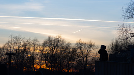 silhouettes of tree and a kid