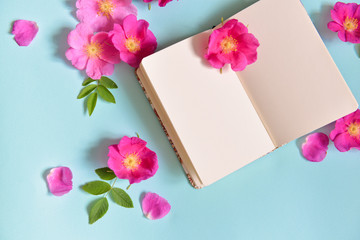 a notebook decorated with flowers lie on a background. contrast design. floristics. floristic composition