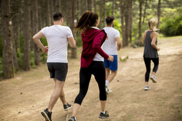 Fototapeta premium Young people run a marathon through the forest