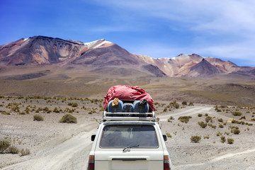 Fototapeta na wymiar Dali Desert in Bolivia
