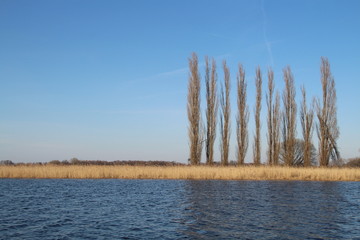 Kharge Landschaft am Wasser mit Bäumen