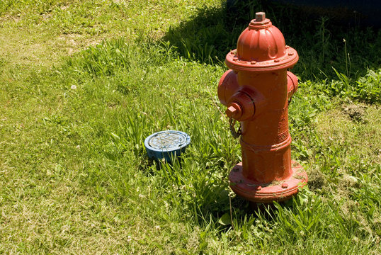 Red Fire Hydrant In Grass