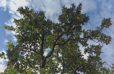 Views of Salerno, Mediterranean city of southern Italy.