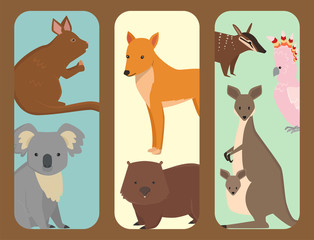 Australia wild animals brochure cartoon popular nature characters flat style mammal collection vector illustration.