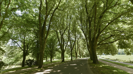 The famous Lichtentaler Allee in Baden Baden. Where emperors and czars strolled. Baden Wuerttemberg, Germany, Europe