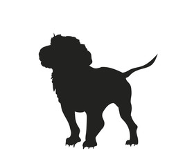 dog stands, silhouette, vector
