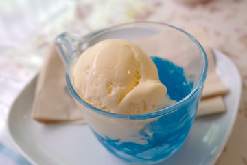 Homemade Organic Vanilla Ice Cream