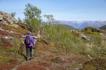 Naklejka na ściany i meble On a trip to the mountain Kauarpallen in great weather Bronnoy county Northern Norway