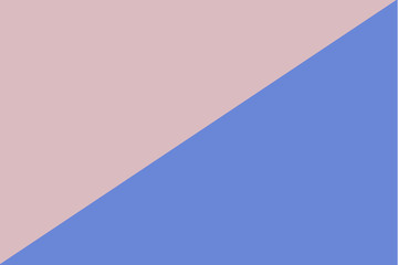 Fototapeta premium Two tone abstract color background. Empty space for text and design