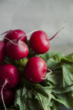 Close up image of heap of fresh radishes with tops and leaves on wooden rustic background