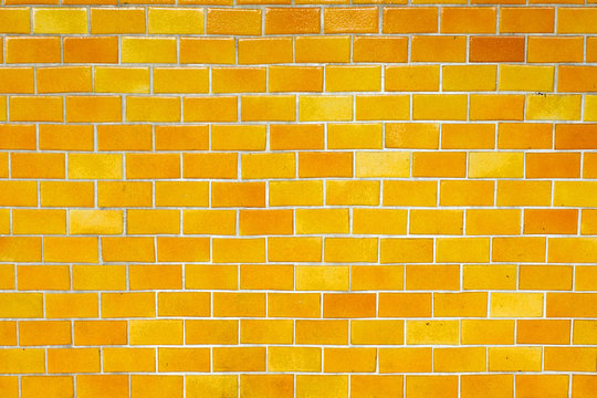 Yellow Brick Road Stock Photos, Images and Backgrounds for Free