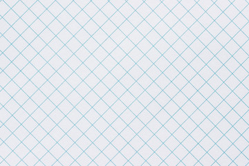 Naklejka premium paper page in a cage,