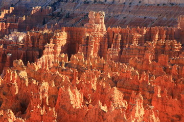 Bryce Canyon 6