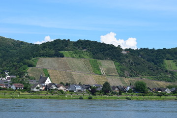 Terassenbau am Rhein