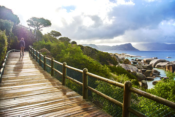 Penguins in boulder's beach cape-town south-africa with seaside and moutain view © Thomas Brissiaud