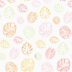 Vector botanical illustration of monstera leaf