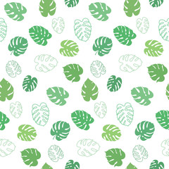 Vector botanical illustration of monstera leaf
