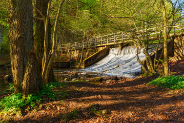 Small forest dam with overflow to regulate the water level.