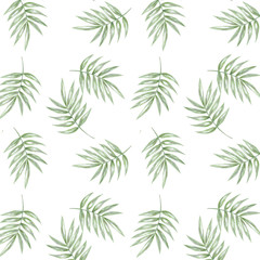 Fototapeta na wymiar Tropical seamlless pattern with exotic palm leaves. Seamlless pattern tropic leafs on white background