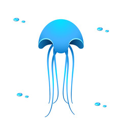 Fototapeta premium Meeresqualle - blue jellyfish
