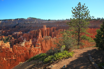 Bryce Canyon 22