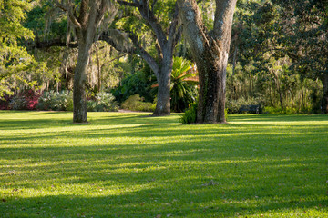 Park on a sunny day, on the grass sunny spots. In the frame - a bench, mighty tree trunks and flowering bushes.
