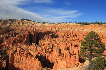 Bryce Canyon 31
