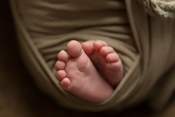 legs of a newborn baby. the legs of a small child