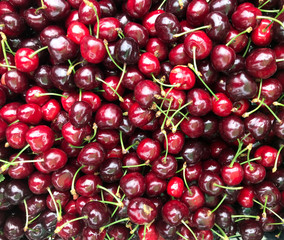 fresh red cherries