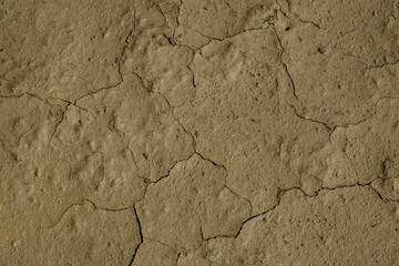 Cracked desert ground