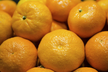 Oranges on the counter in the store