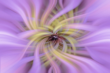 Purple flower graphic art