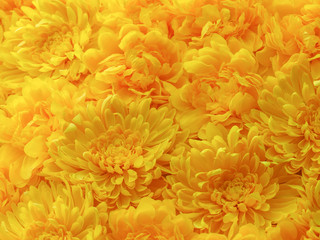 beautiful artificial flowers, decorative hand craft