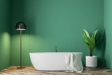 Obraz na płótnie Canvas Minimalistic green bathroom, white bathtub