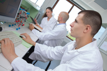 young medical technicians working in laboratory