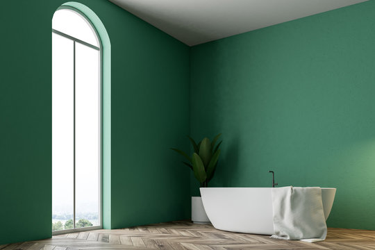 Minimalistic green bathroom corner, white bathtub