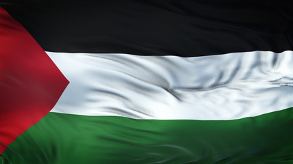 PALESTINE Realistic Waving Flag Background