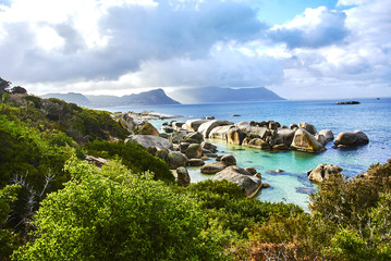 Penguins in boulder's beach cape-town south-africa with seaside and moutain view