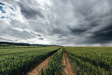 Dunkle Gewitterwolken bilden sich über Felder